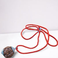 Original 5 Mukhi Rudraksha Bead
