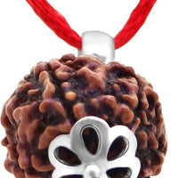 Original 5 Mukhi Rudraksha Bead