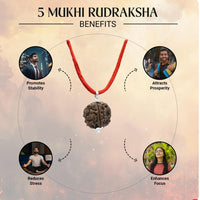 Maha SHivratri Combo - 5 Mukhi Rudraksha With Bracelet