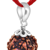Original 5 Mukhi Rudraksha Bead