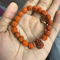 7 Mukhi Rudraksha Bracelet
