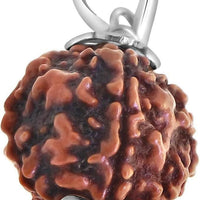 Original 5 Mukhi Rudraksha Bead