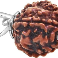 Original 5 Mukhi Rudraksha Bead